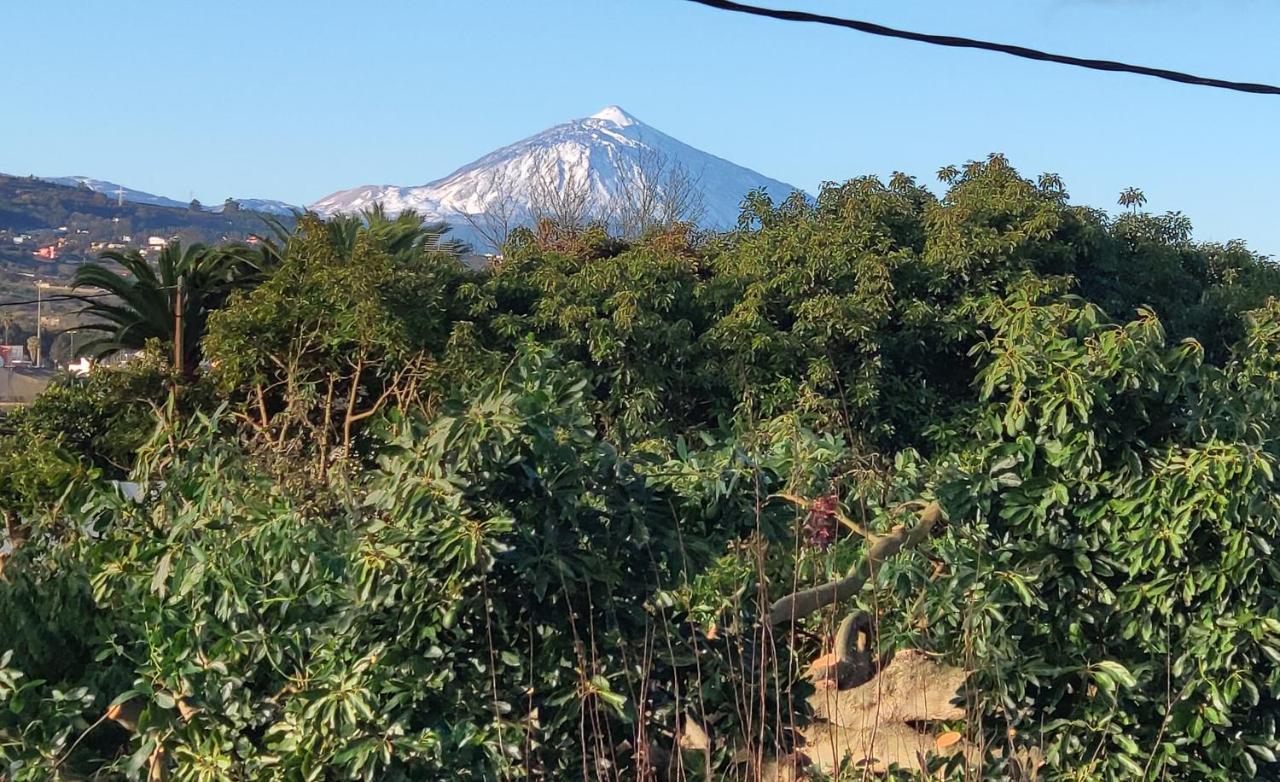 La Chimenea Verde 塔科龙特 外观 照片
